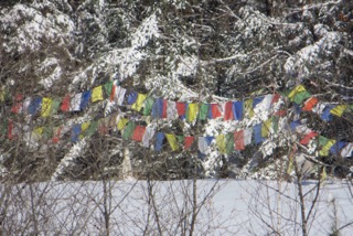 Tibetan prayer flags in the snowy woods