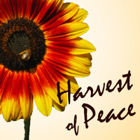 harvest_of_peace