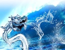 image of water dragon