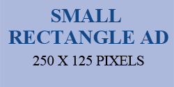 SMALL RECTANGLE AD SHAPE 250X125 PIXELS