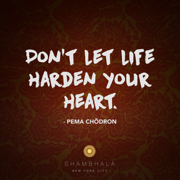 Dont Let Life Harden Your Heart: A Meditation on Bodhichitta
