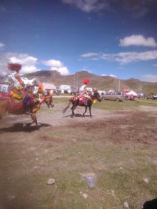 Starting a horse race.  Photo:  www.yowangdu.com