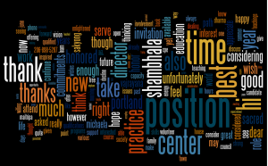 A Wordle showing the most important words in people's responses.