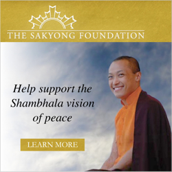 The Sakyong Foundation